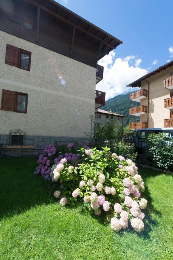 Residence Alpen Casavacanze Пинцоло Екстериор снимка